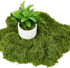 Artificial Fake Green Moss for Crafts and Decor