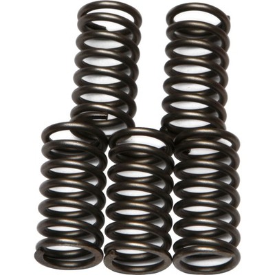 EBC Brakes Clutch Springs CSK65