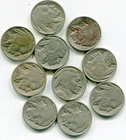 US Buffalo nickels  all dated  lot of (10)     lotmar4674