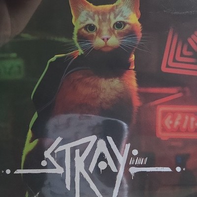Stray PlayStation 5 Annapurna Interactive Action Adventure E10+ Vibration