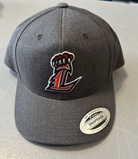 Liberty L Sport Tek Curved Bill Snapback, Gray