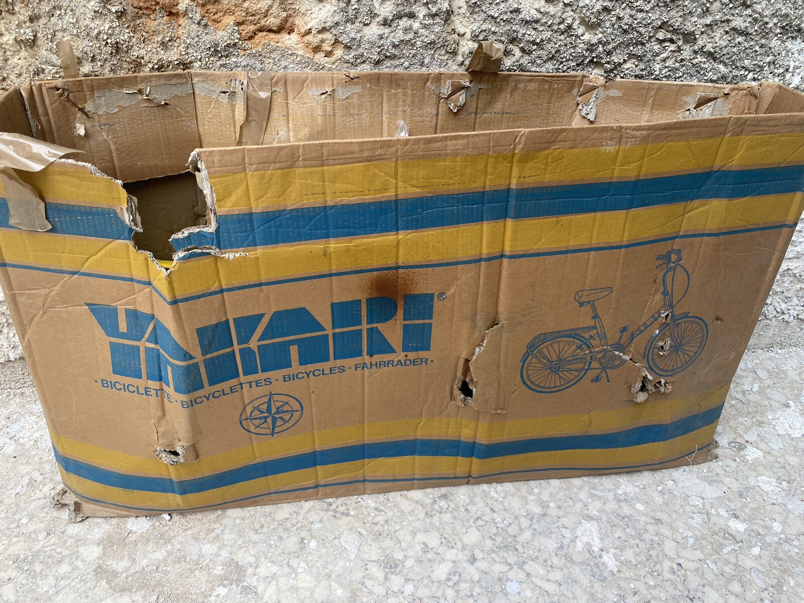 Foto 12 di 12