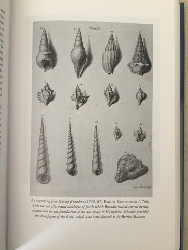 Nature's Argonaut: Daniel Solander by Edward Duyker 1999 - Foto 9 di 12