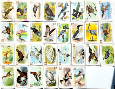 1908 J4 New Series of Birds Dwight's Soda Logo New Series of Birds