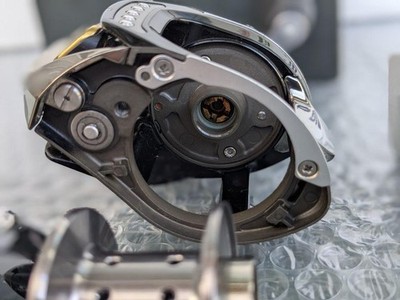 Daiwa Td Zillion 7.3 Limited 100 Baitcasting Reel 2009 Edition