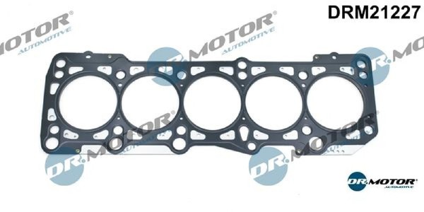 Dr.Motor Automotive DRM21227 Dichtung FüR Zylinderkopf Dichtung-image