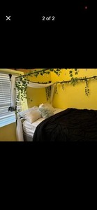 Queen Canopy Drapes And ivy