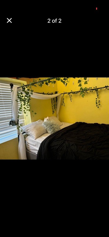 Queen Canopy Drapes And ivy