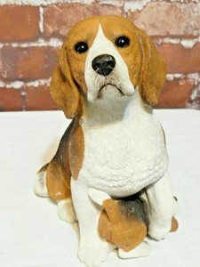 tall beagle