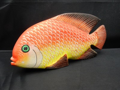 large tropical fish