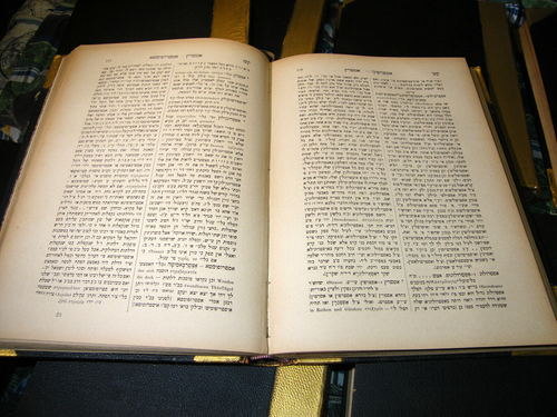 1878-1892 Aruch Completum 9 Bände auf Hebräisch Dr. Alexander Kohut - Bild 10 von 24