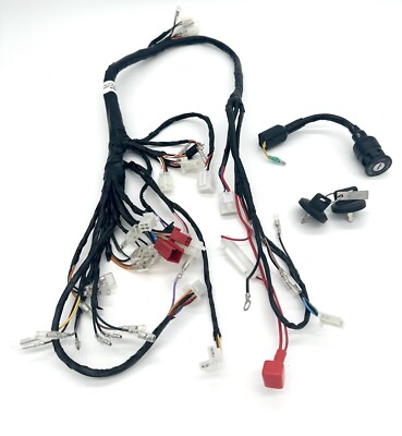 TO FIT APACHE 100 QUAD BRAND NEW WIRING LOOM WITH IGNITION AND KEY