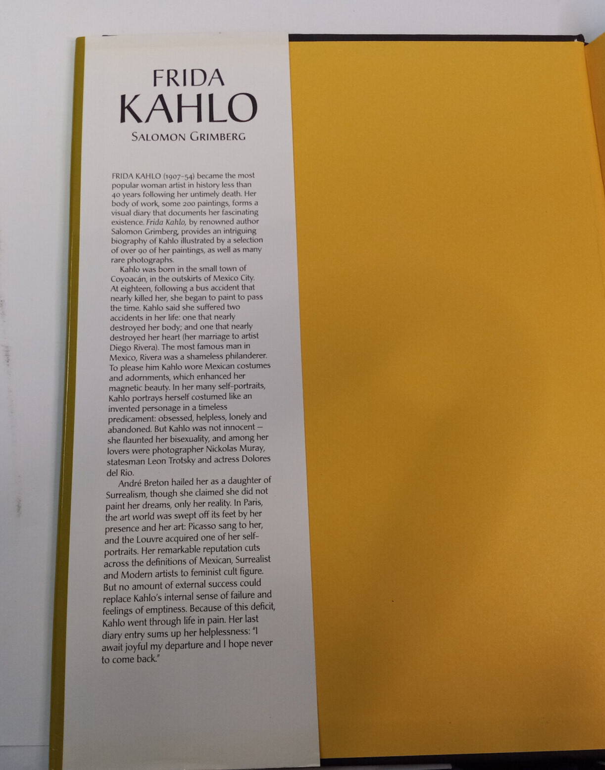 Frida Kahlo Biography Salomon Grimberg illustrated hardcover dust jacket u