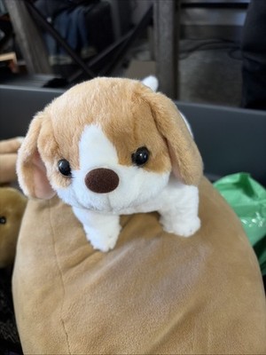 Koro Plush Toy S Ghibli Museum Exclusive Retail Merchandise