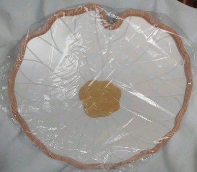 Lotus Leaf Acrylic Ceiling Light Flush Mount Lamp Chandelier Living Room 