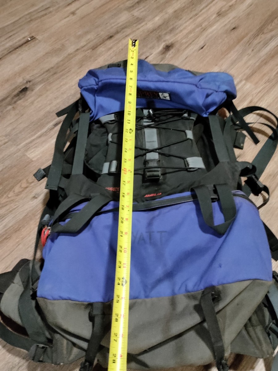business insider patagonia backpack Patagonia Blue Sage Refugio Day Pack 26L