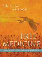 Free Medicine Meditations On Nondual Awakening Pirelias Amidon (U. A.) Buch 2016