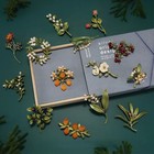 Women Fashion Plant Leaf Brooch Ladies Pearl Party Leaf Pin Jewelry Accessories