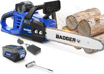 Electric Chainsaw Cordless 40V 16'' Brushless, 4.0 Ah Battery and Charger, Smart 