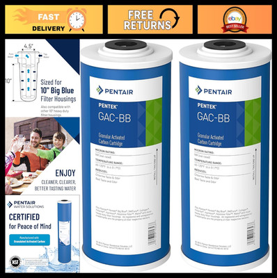 Big Blue Carbon Water Filter Cartridge, 10'' x 4.5'', Whole House GAC, Pack of 2