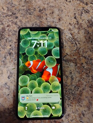 iPhone 11 Pro Max With Tik Tok 