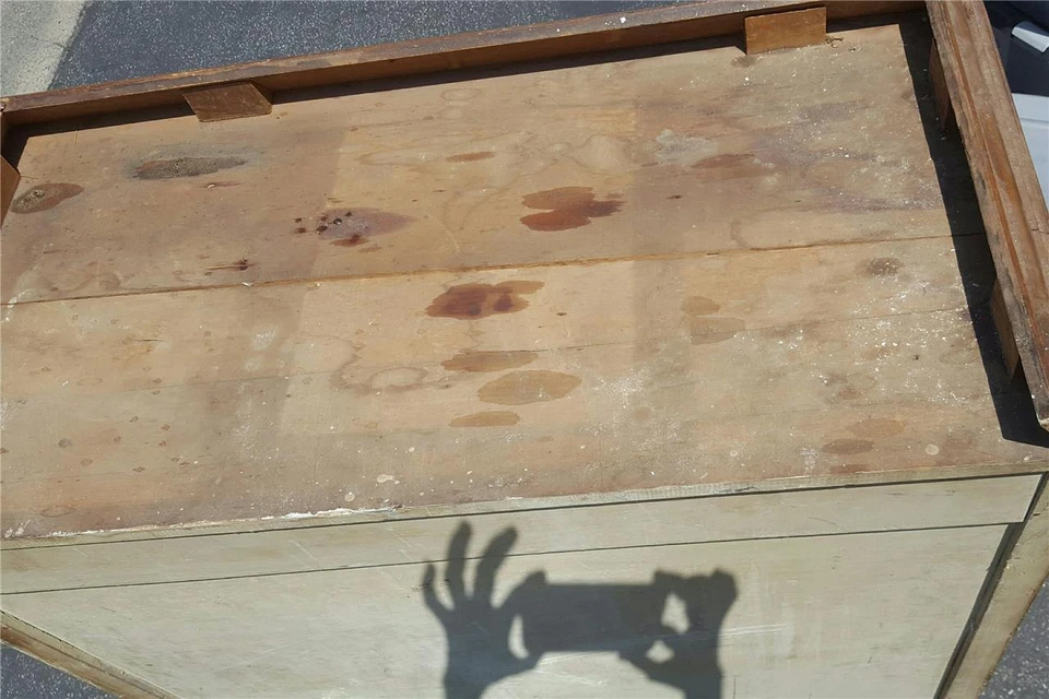 Fabuloso armario de madera maciza hecho a mano - NECESITA TLC - GRAN GRANO DE MADERA - ÚTIL Foto 3 de 4