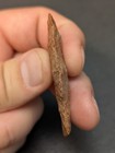 Colorful Arrowhead Artifact from East Texas  — photo 3
