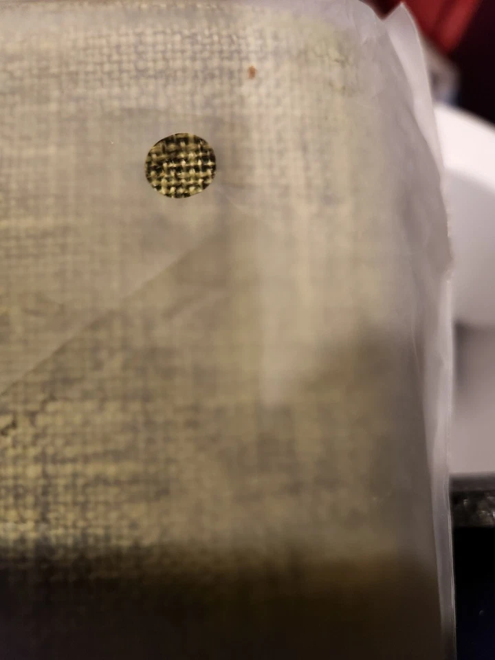 6 Piece Placemat Set - Grass Green w/Black 13 x 19 - Washable Cotton - Image 4 of 4