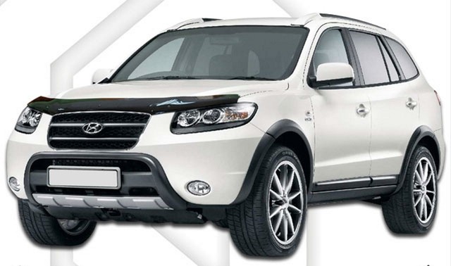 Hdhy506 Motorhaube Windabweiser Steinschlagschutz Fur Hyundai Santa Fe 2008 12 Ebay