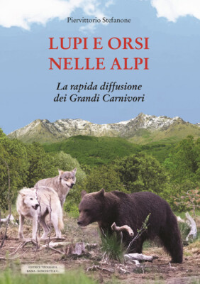 Wölfe und Bären in den Alpen. Die schnelle Ausbreitung der großen Fleischfresser