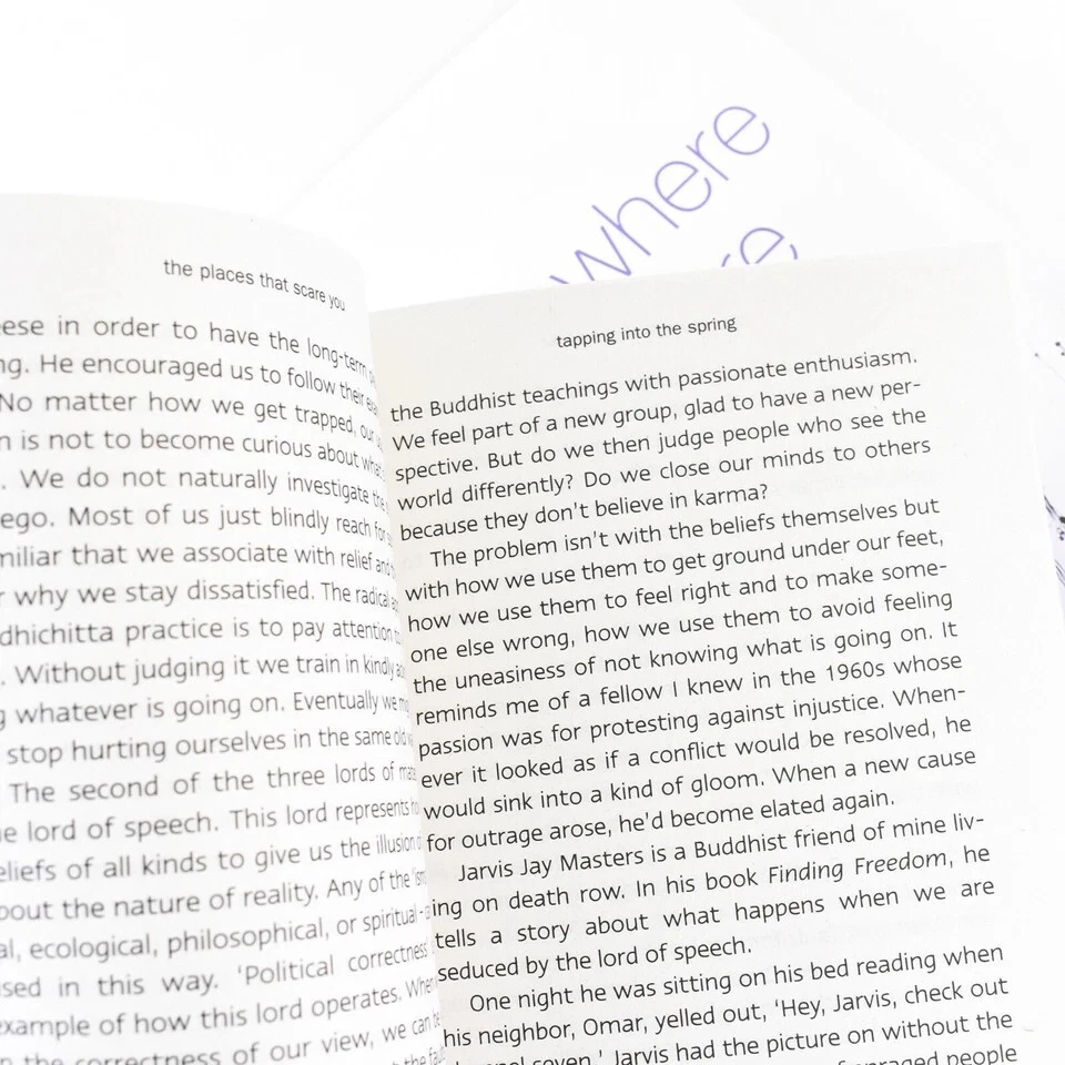 Pema Chodron 3 Books Collection - Non Fiction - Paperback Set Foto 3 de 3