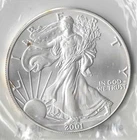 2001 American Eagle Silver Dollar Uncirculated Littleton Coin