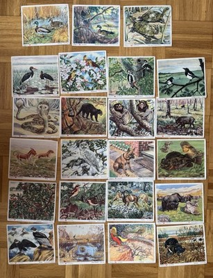 Voss Margarine Kunstbilder - ca. 100 Tierillustrationen, Konvolut