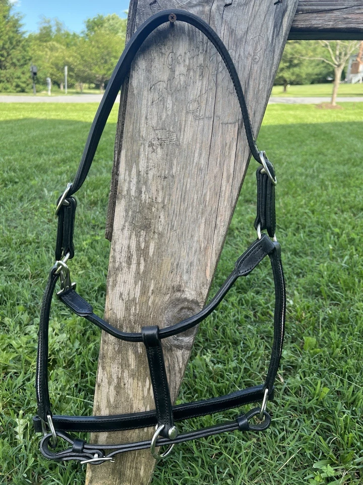 Leaders 3/4” Blanco Cristal Negro Cuero Halter para Caballo Tamaño Foto 2 de 4