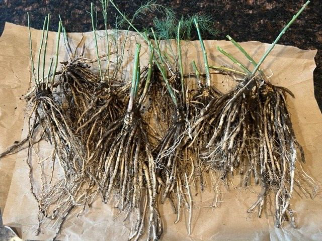 balcony planter railing Outsunny Rattan Look Self-Watering Railing Planter Box Set main image 1