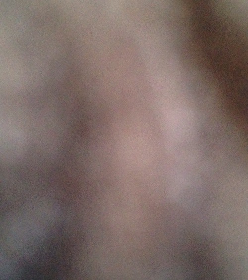 Foto 12 di 12