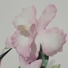 Bild 8 von 11