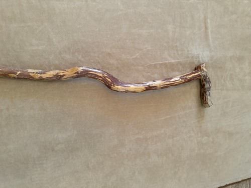 33" Bent Wood curved Walking Stick wood medium tone vintage cane peeling bark - Picture 9 of 9