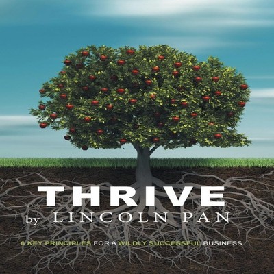 Thrive 6 Key Principles for a Wildly Successful Business Lincoln