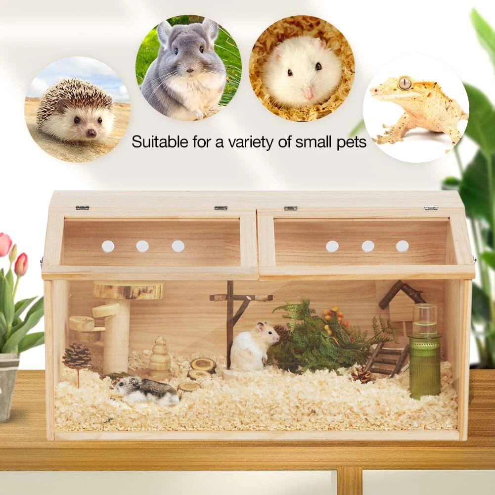 Little Smart Hamster Pets Life - My Friendly Pet for Android - Download