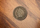 1901-P Indian Head Penny #3135 Brave named Bears Tooth, Fur Good *FREE SHIPPING*