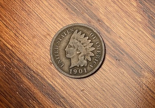 1901-P Indian Head Penny #3135 Brave named Bears Tooth, Fur Good *FREE SHIPPING*