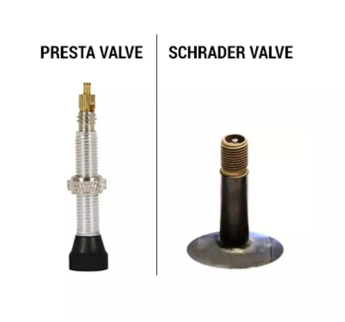 75mm tubeless sales valve