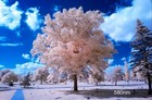 Bild 56 von 73