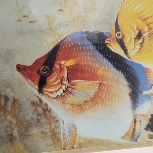 Vintage Yun Shan Lau Butterfly Fish Chinese Art Print Signed Numbered 28/200 - Picture 3 of 19