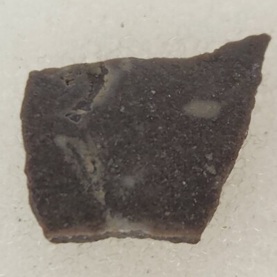 Unidentified Dinosaur Egg Shell Fossil (Orodromeus?) - Two Medicine Fm. - MT