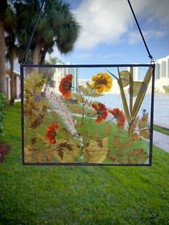 Real flower wall art, Pressed flower art frame, Dried Pressed Flower