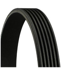 Keilrippenriemen für Seat Leon 1M1 Toledo 2 1M2 4 KG3 | 24043952
