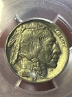 1915-D 5c 🦬 Buffalo Nickel - PCGS MS 63