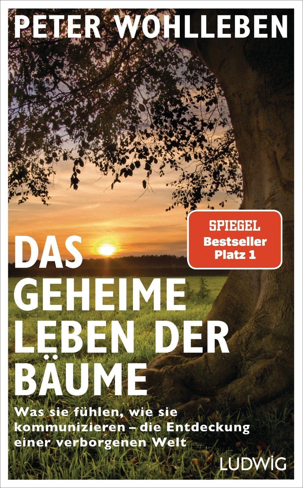 Das Geheime Leben Der Bäume Peter Wohlleben
